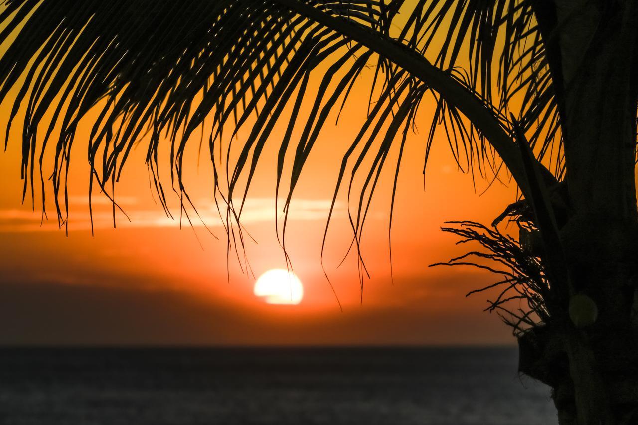 Miramar Surfcamp Βίλα Puerto Sandino Εξωτερικό φωτογραφία